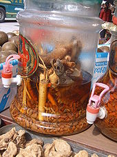 gecko terrarium