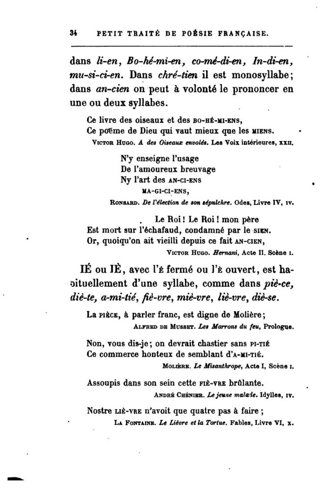 information sur la tortue