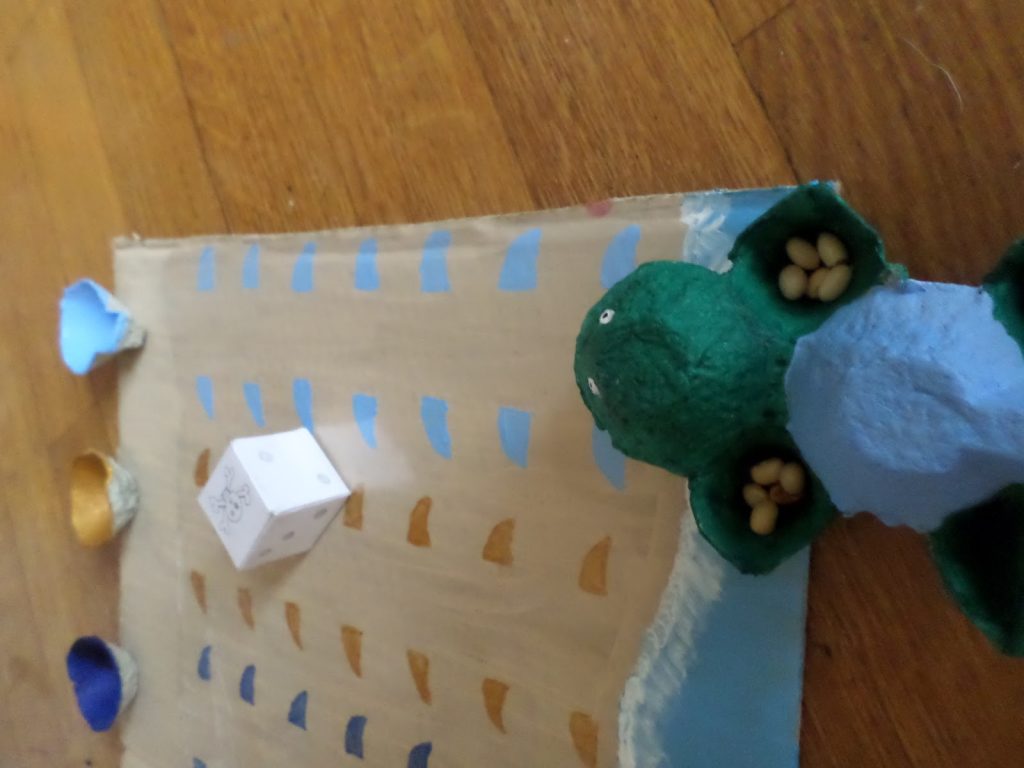 les différentes espèces de tortues