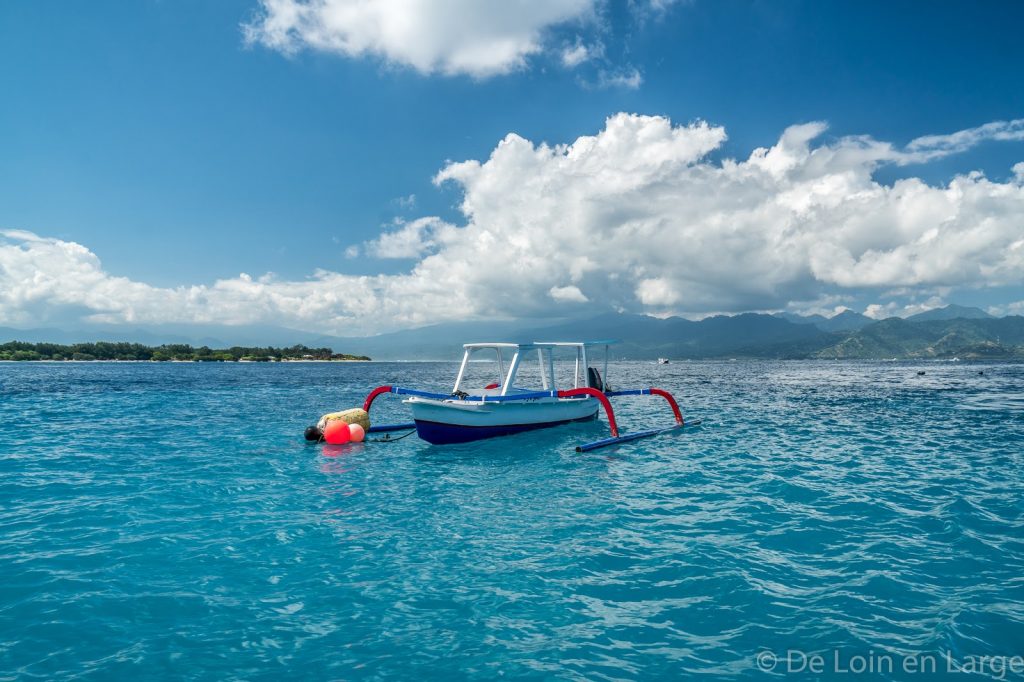 Que mangent les tortues de mer ?