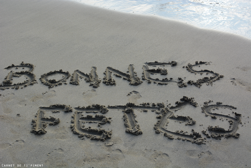 Comment vivent les tortues de mer ?