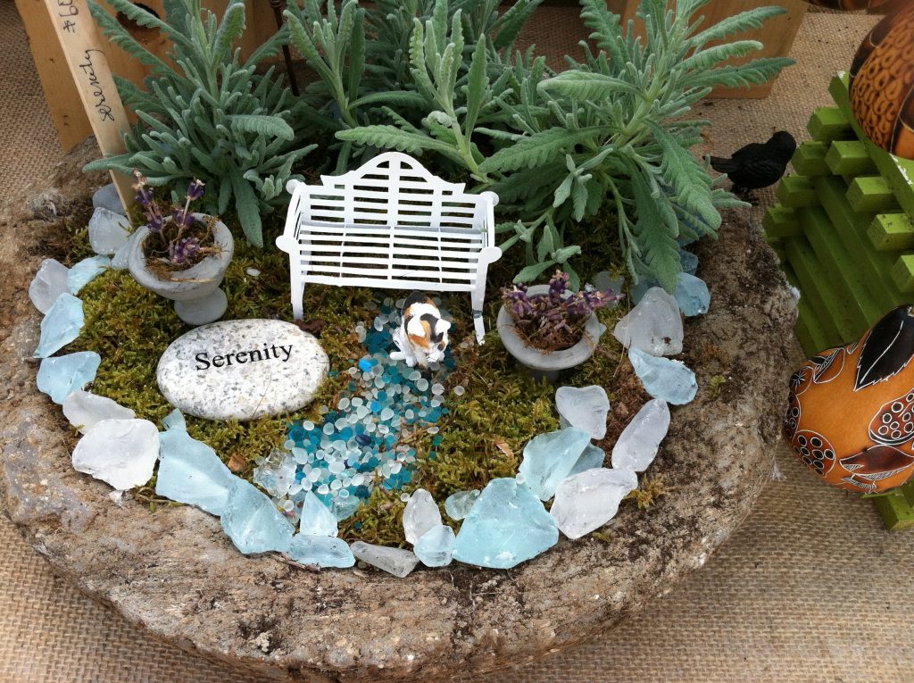 pot en verre pour terrarium