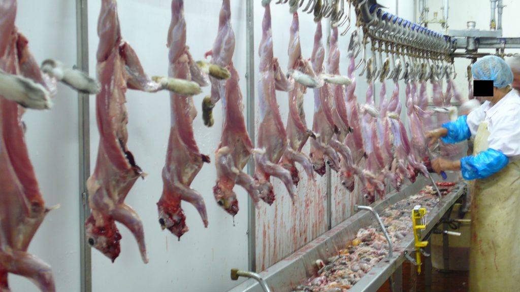 production de la viande