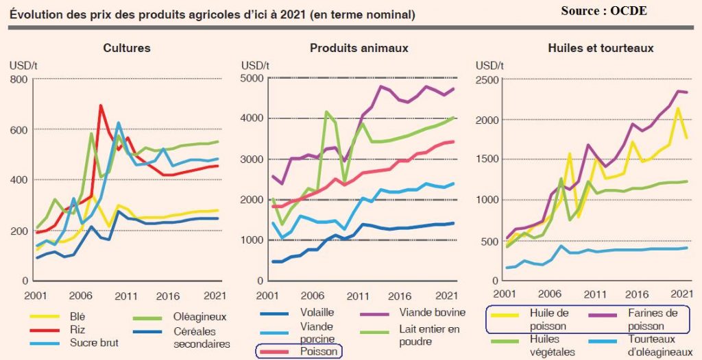 production mondiale de viande