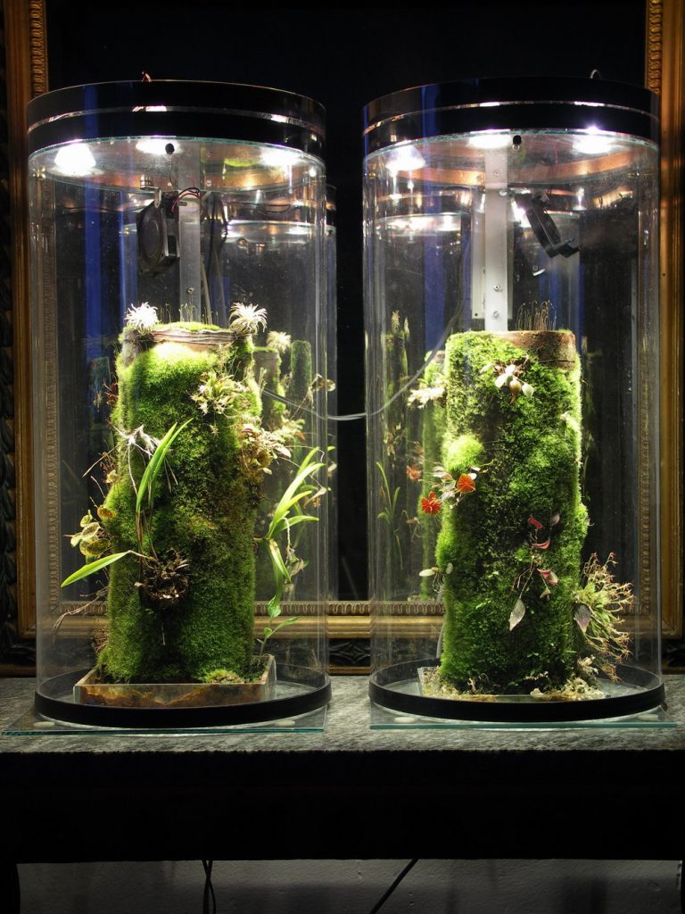 récipient pour terrarium