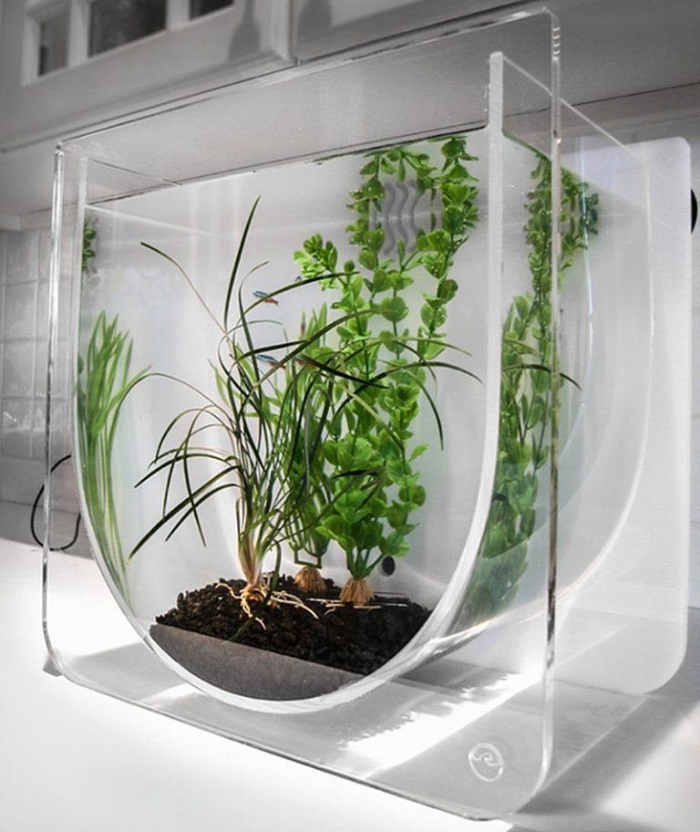 Boîte de transport pour terrarium Reptile - En acrylique transparent